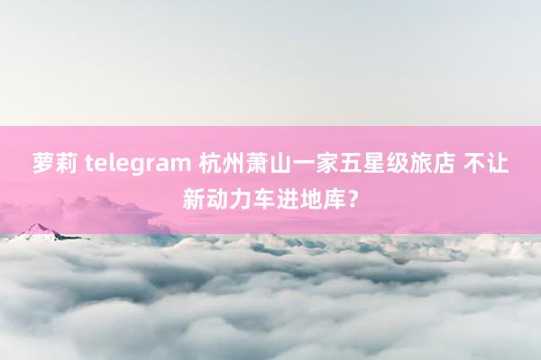 萝莉 telegram 杭州萧山一家五星级旅店 不让新动力车进地库？