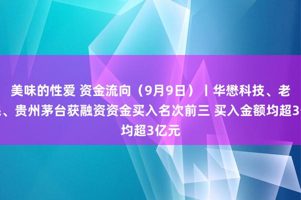 美味的性爱 资金流向（9月9日）丨华懋科技、老庶民、贵州茅台获融资资金买入名次前三 买入金额均超3亿元