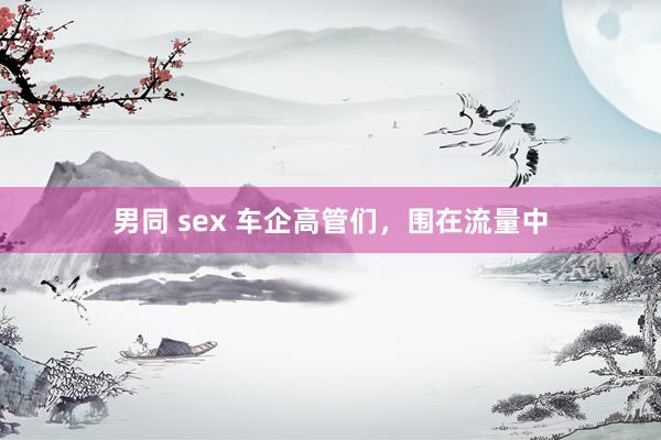 男同 sex 车企高管们，围在流量中