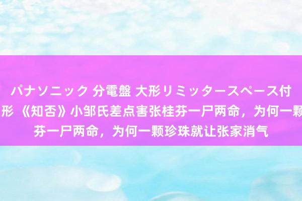 パナソニック 分電盤 大形リミッタースペース付 露出・半埋込両用形 《知否》小邹氏差点害张桂芬一尸两命，为何一颗珍珠就让张家消气