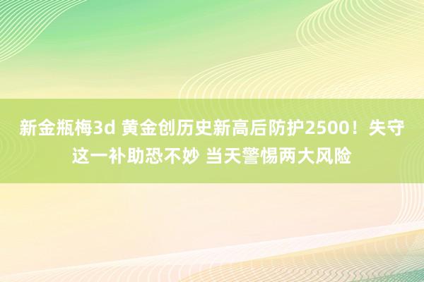 新金瓶梅3d 黄金创历史新高后防护2500！失守这一补助恐不妙 当天警惕两大风险