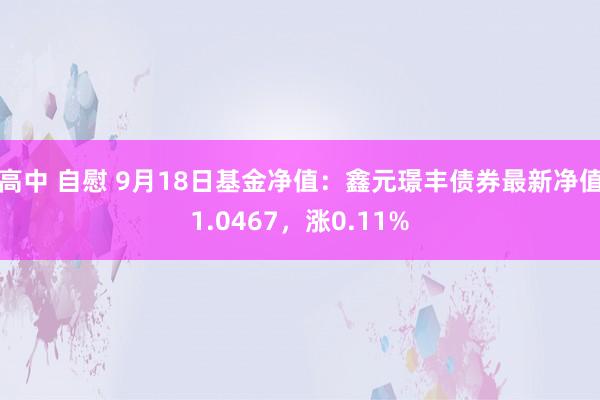 高中 自慰 9月18日基金净值：鑫元璟丰债券最新净值1.0467，涨0.11%