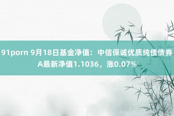 91porn 9月18日基金净值：中信保诚优质纯债债券A最新净值1.1036，涨0.07%