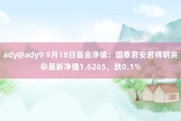 ady@ady9 9月18日基金净值：国泰君安君得明夹杂最新净值1.6265，跌0.1%