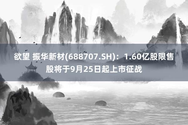 欲望 振华新材(688707.SH)：1.60亿股限售股将于9月25日起上市征战