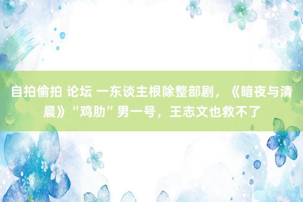 自拍偷拍 论坛 一东谈主根除整部剧，《暗夜与清晨》“鸡肋”男一号，王志文也救不了