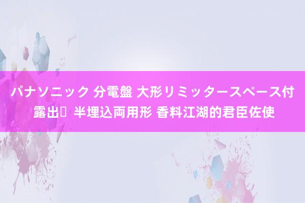 パナソニック 分電盤 大形リミッタースペース付 露出・半埋込両用形 香料江湖的君臣佐使