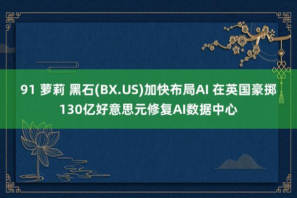 91 萝莉 黑石(BX.US)加快布局AI 在英国豪掷130亿好意思元修复AI数据中心