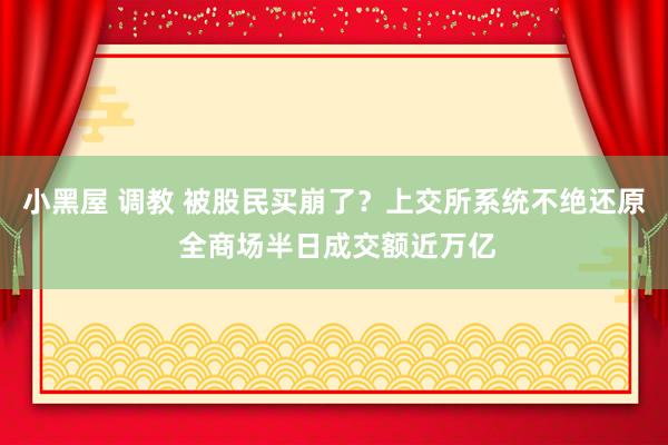 小黑屋 调教 被股民买崩了？上交所系统不绝还原 全商场半日成交额近万亿