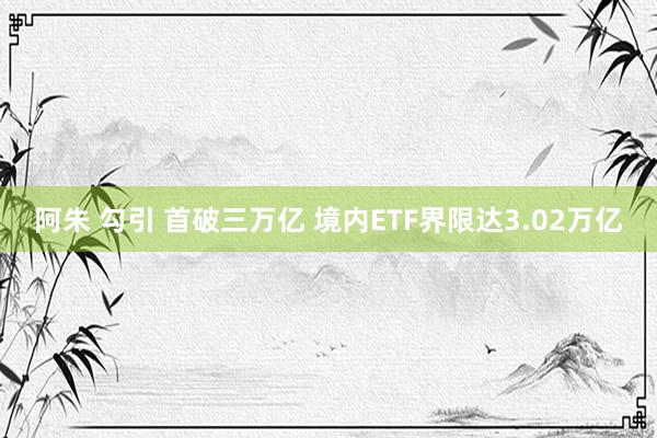 阿朱 勾引 首破三万亿 境内ETF界限达3.02万亿