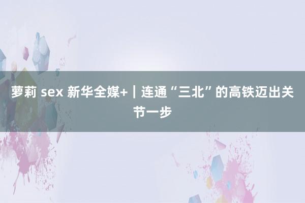 萝莉 sex 新华全媒+｜连通“三北”的高铁迈出关节一步