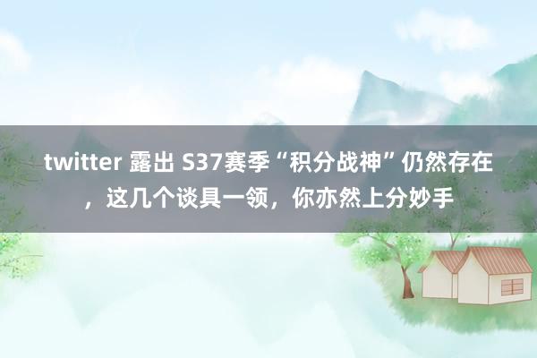 twitter 露出 S37赛季“积分战神”仍然存在，这几个谈具一领，你亦然上分妙手