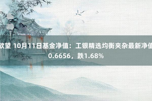 欲望 10月11日基金净值：工银精选均衡夹杂最新净值0.6656，跌1.68%