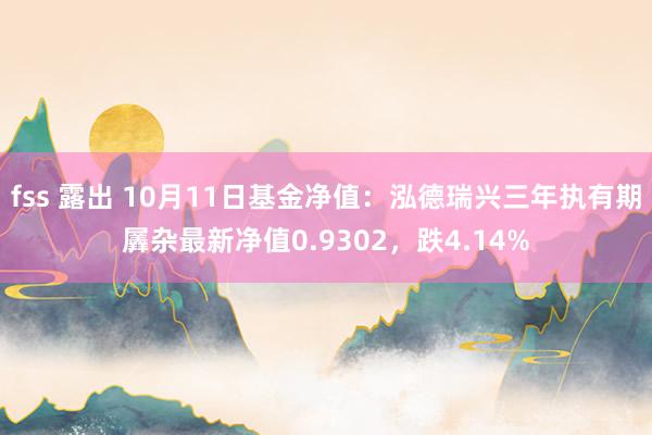 fss 露出 10月11日基金净值：泓德瑞兴三年执有期羼杂最新净值0.9302，跌4.14%