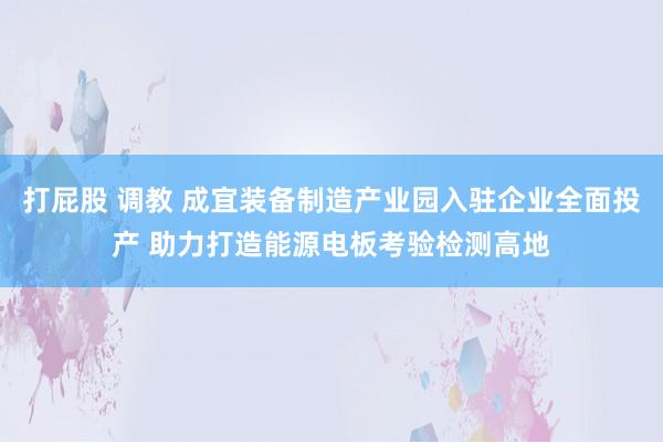 打屁股 调教 成宜装备制造产业园入驻企业全面投产 助力打造能源电板考验检测高地