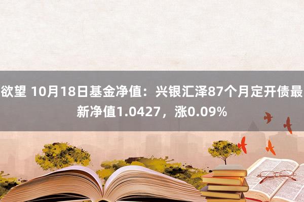 欲望 10月18日基金净值：兴银汇泽87个月定开债最新净值1.0427，涨0.09%