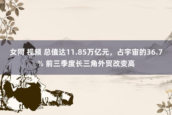 女同 视频 总值达11.85万亿元，占宇宙的36.7% 前三季度长三角外贸改变高