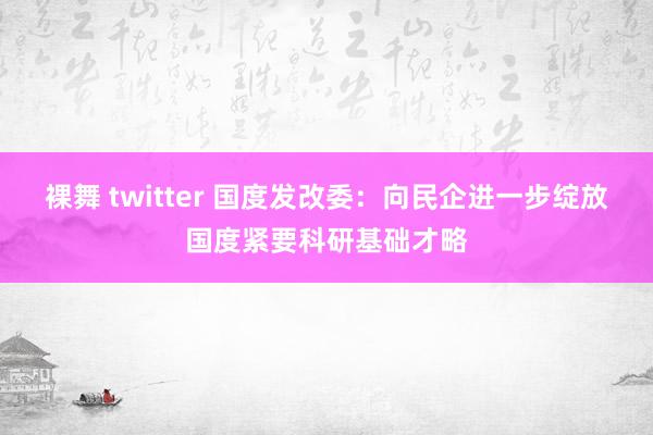 裸舞 twitter 国度发改委：向民企进一步绽放国度紧要科研基础才略