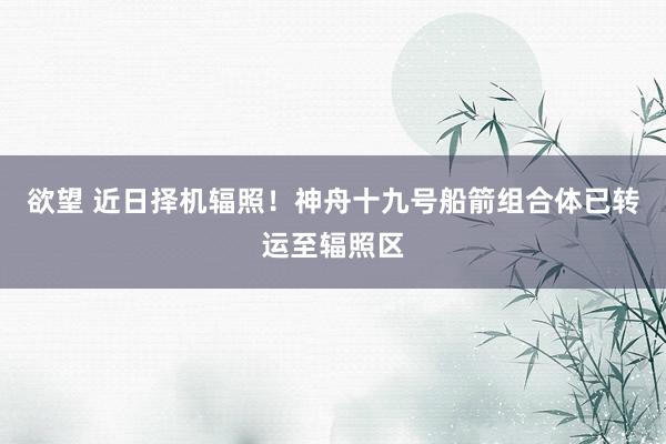 欲望 近日择机辐照！神舟十九号船箭组合体已转运至辐照区