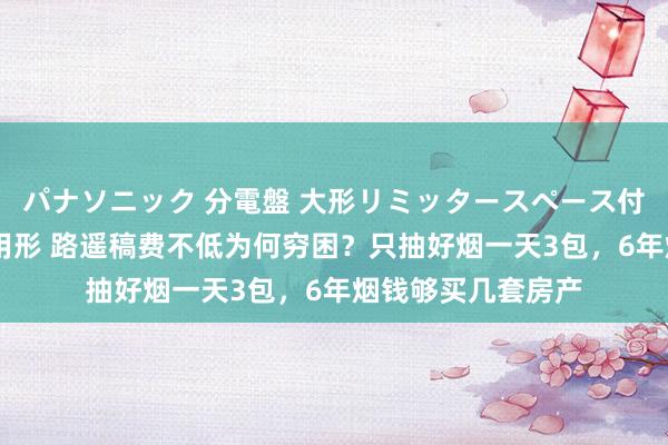 パナソニック 分電盤 大形リミッタースペース付 露出・半埋込両用形 路遥稿费不低为何穷困？只抽好烟一天3包，6年烟钱够买几套房产