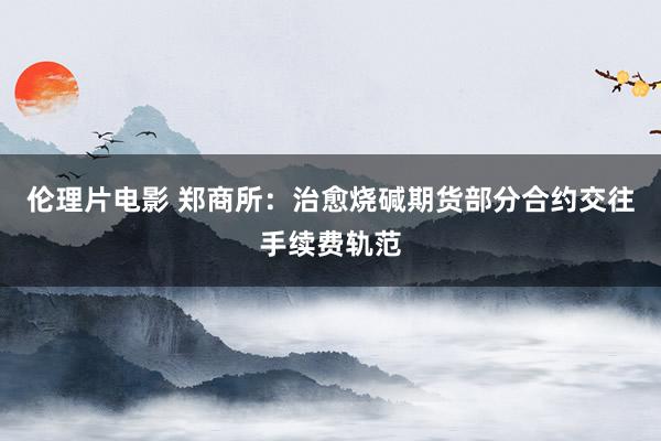 伦理片电影 郑商所：治愈烧碱期货部分合约交往手续费轨范