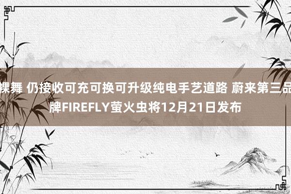 裸舞 仍接收可充可换可升级纯电手艺道路 蔚来第三品牌FIREFLY萤火虫将12月21日发布