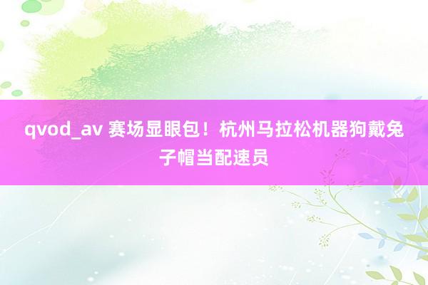 qvod_av 赛场显眼包！杭州马拉松机器狗戴兔子帽当配速员