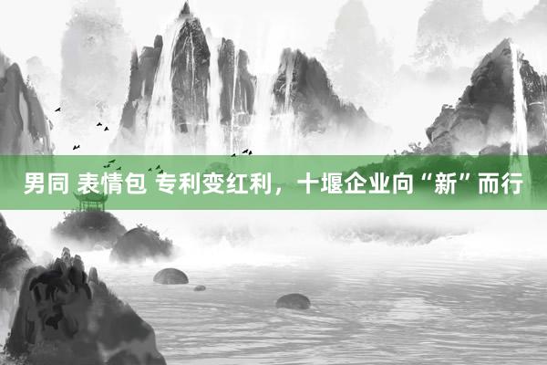 男同 表情包 专利变红利，十堰企业向“新”而行