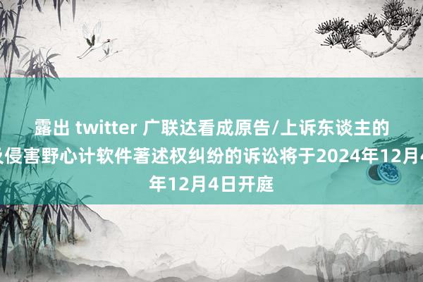 露出 twitter 广联达看成原告/上诉东谈主的2起触及侵害野心计软件著述权纠纷的诉讼将于2024年12月4日开庭