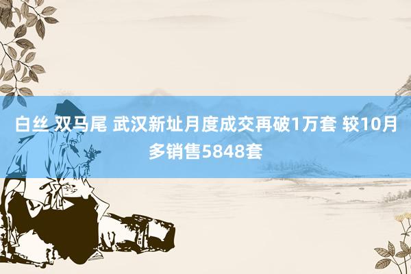 白丝 双马尾 武汉新址月度成交再破1万套 较10月多销售5848套