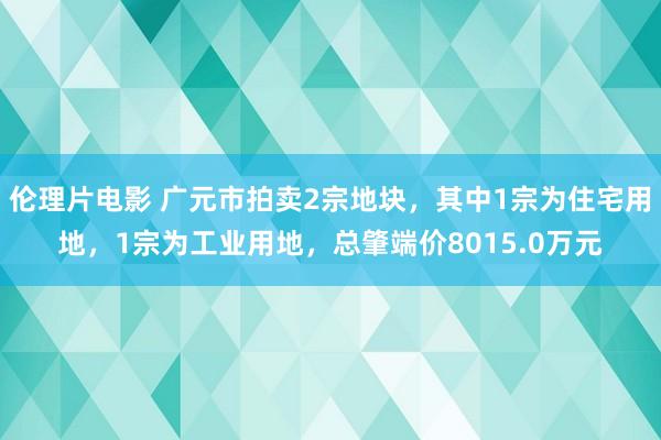 伦理片电影 广元市拍卖2宗地块，其中1宗为住宅用地，1宗为工业用地，总肇端价8015.0万元