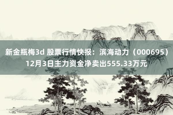 新金瓶梅3d 股票行情快报：滨海动力（000695）12月3日主力资金净卖出555.33万元