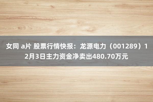 女同 a片 股票行情快报：龙源电力（001289）12月3日主力资金净卖出480.70万元