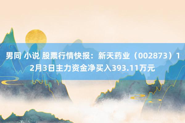 男同 小说 股票行情快报：新天药业（002873）12月3日主力资金净买入393.11万元