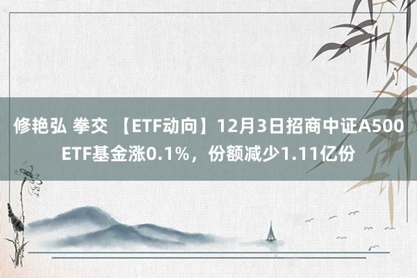 修艳弘 拳交 【ETF动向】12月3日招商中证A500ETF基金涨0.1%，份额减少1.11亿份