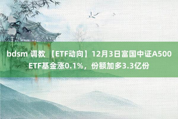 bdsm 调教 【ETF动向】12月3日富国中证A500ETF基金涨0.1%，份额加多3.3亿份