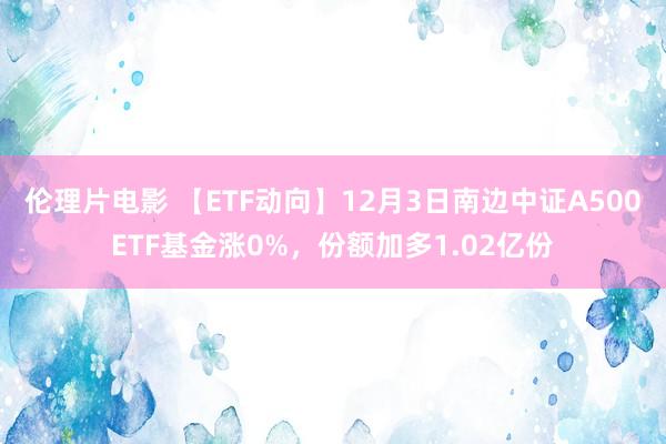 伦理片电影 【ETF动向】12月3日南边中证A500ETF基金涨0%，份额加多1.02亿份