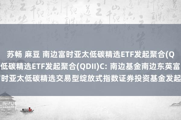 苏畅 麻豆 南边富时亚太低碳精选ETF发起聚合(QDII)A，南边富时亚太低碳精选ETF发起聚合(QDII)C: 南边基金南边东英富时亚太低碳精选交易型绽放式指数证券投资基金发起式聚合基金(QDII)托管协议