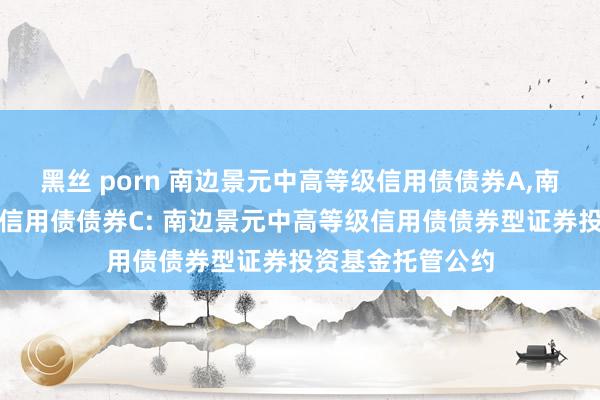 黑丝 porn 南边景元中高等级信用债债券A，南边景元中高等级信用债债券C: 南边景元中高等级信用债债券型证券投资基金托管公约