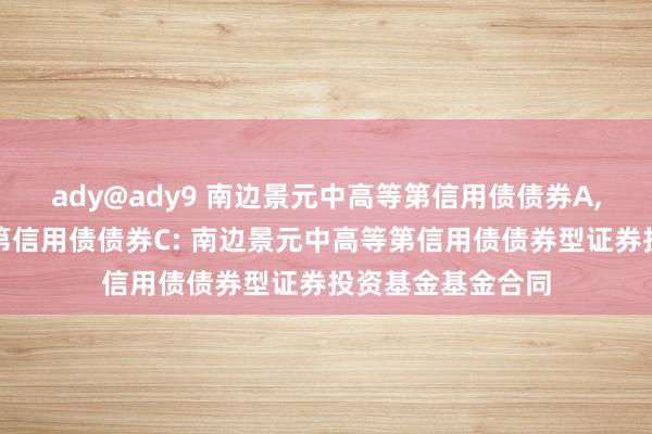 ady@ady9 南边景元中高等第信用债债券A，南边景元中高等第信用债债券C: 南边景元中高等第信用债债券型证券投资基金基金合同