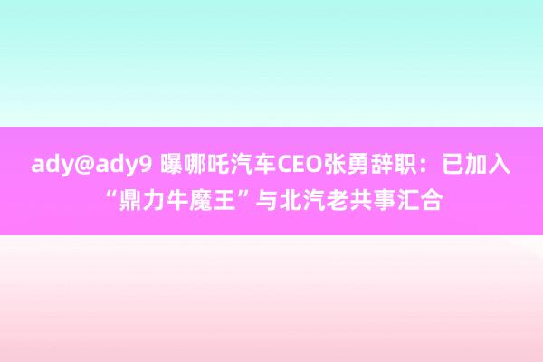 ady@ady9 曝哪吒汽车CEO张勇辞职：已加入“鼎力牛魔王”与北汽老共事汇合