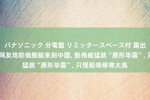 パナソニック 分電盤 リミッタースペース付 露出・半埋込両用形 网友戏称俄舰艇来到中国， 魁伟威猛就“原形毕露”， 只怪船埠修得太高