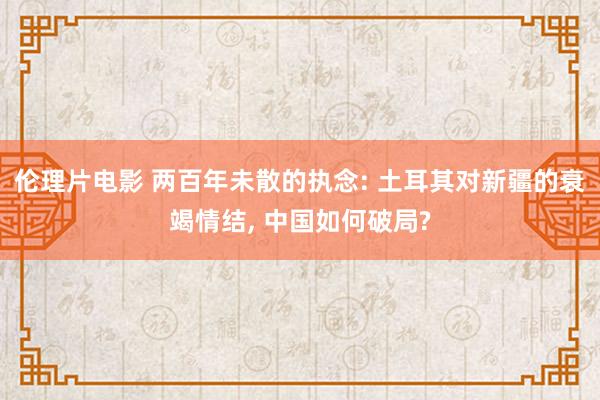 伦理片电影 两百年未散的执念: 土耳其对新疆的衰竭情结， 中国如何破局?