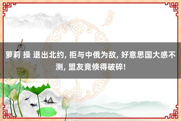 萝莉 操 退出北约， 拒与中俄为敌， 好意思国大感不测， 盟友竟倏得破碎!