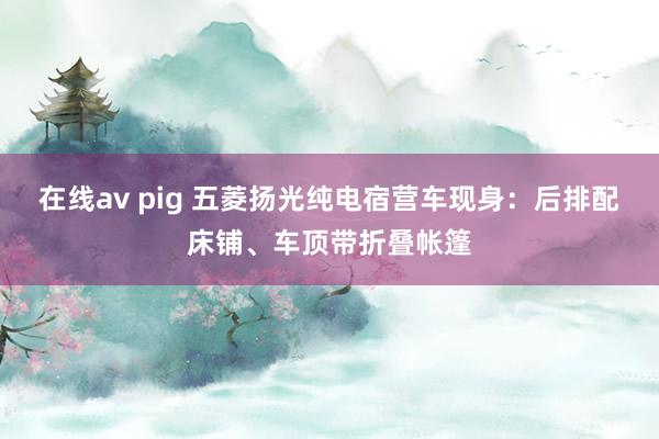 在线av pig 五菱扬光纯电宿营车现身：后排配床铺、车顶带折叠帐篷