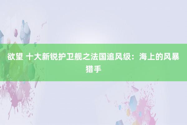 欲望 十大新锐护卫舰之法国追风级：海上的风暴猎手