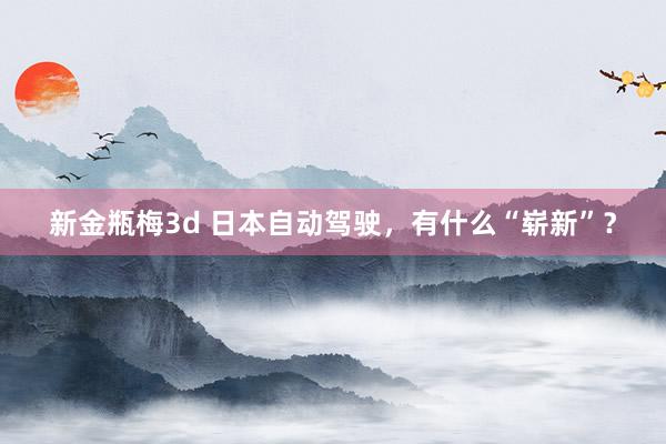 新金瓶梅3d 日本自动驾驶，有什么“崭新”？