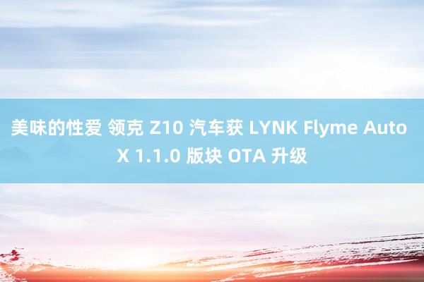 美味的性爱 领克 Z10 汽车获 LYNK Flyme Auto X 1.1.0 版块 OTA 升级