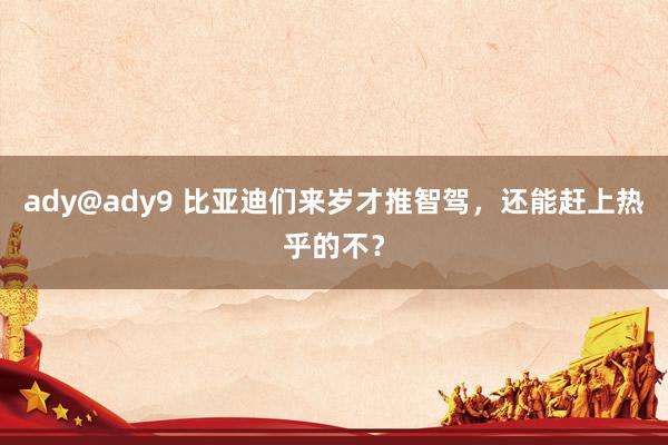 ady@ady9 比亚迪们来岁才推智驾，还能赶上热乎的不？