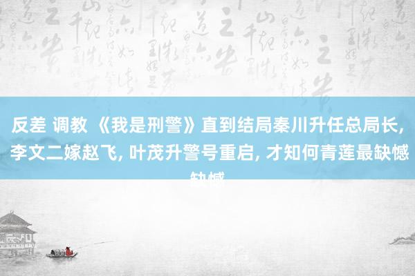 反差 调教 《我是刑警》直到结局秦川升任总局长， 李文二嫁赵飞， 叶茂升警号重启， 才知何青莲最缺憾